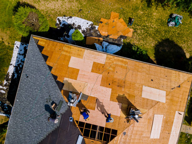 Best Roof Gutter Cleaning  in Marion, MT