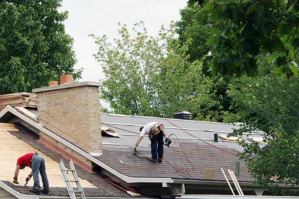 Best New Roof Installation  in Marion, MT