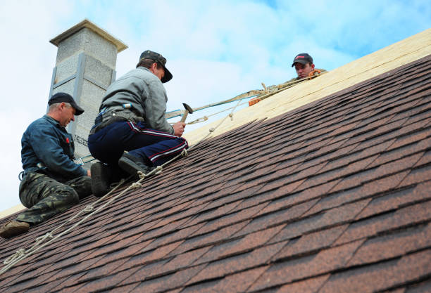 Best Storm Damage Roof Repair  in Marion, MT